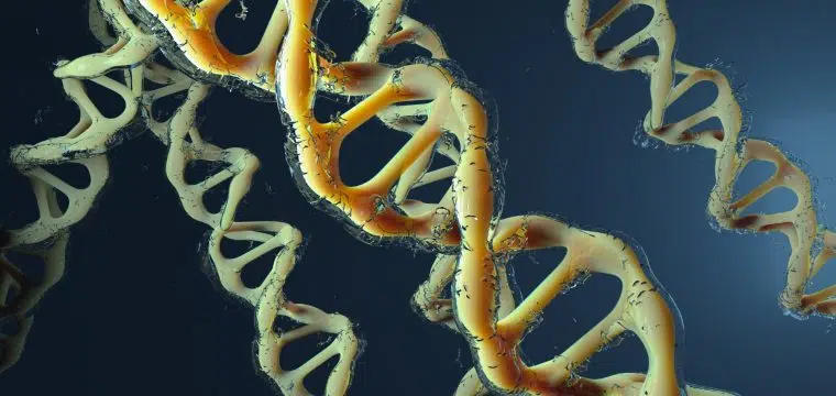 Advances in Men's Sexual Health The Role of Genetics