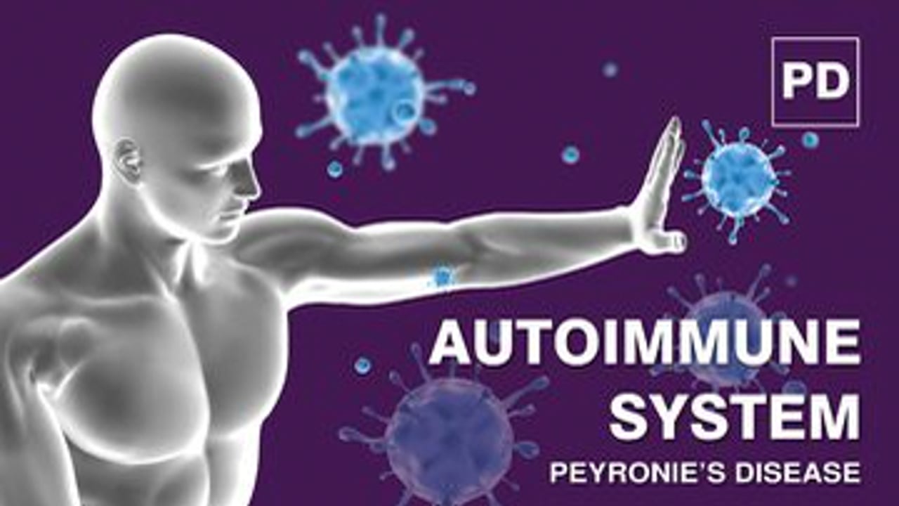 Autoimmune System and Peyronie’s Disease