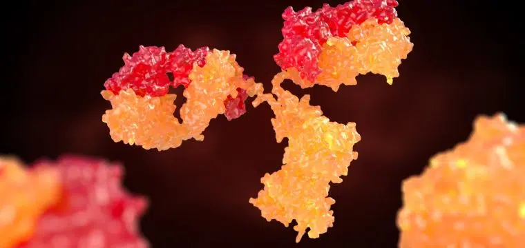 Men's Health & the Autoimmune System