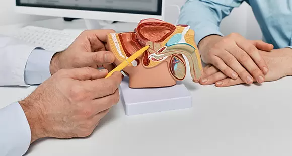 The Leading-edge Prostate Health Check