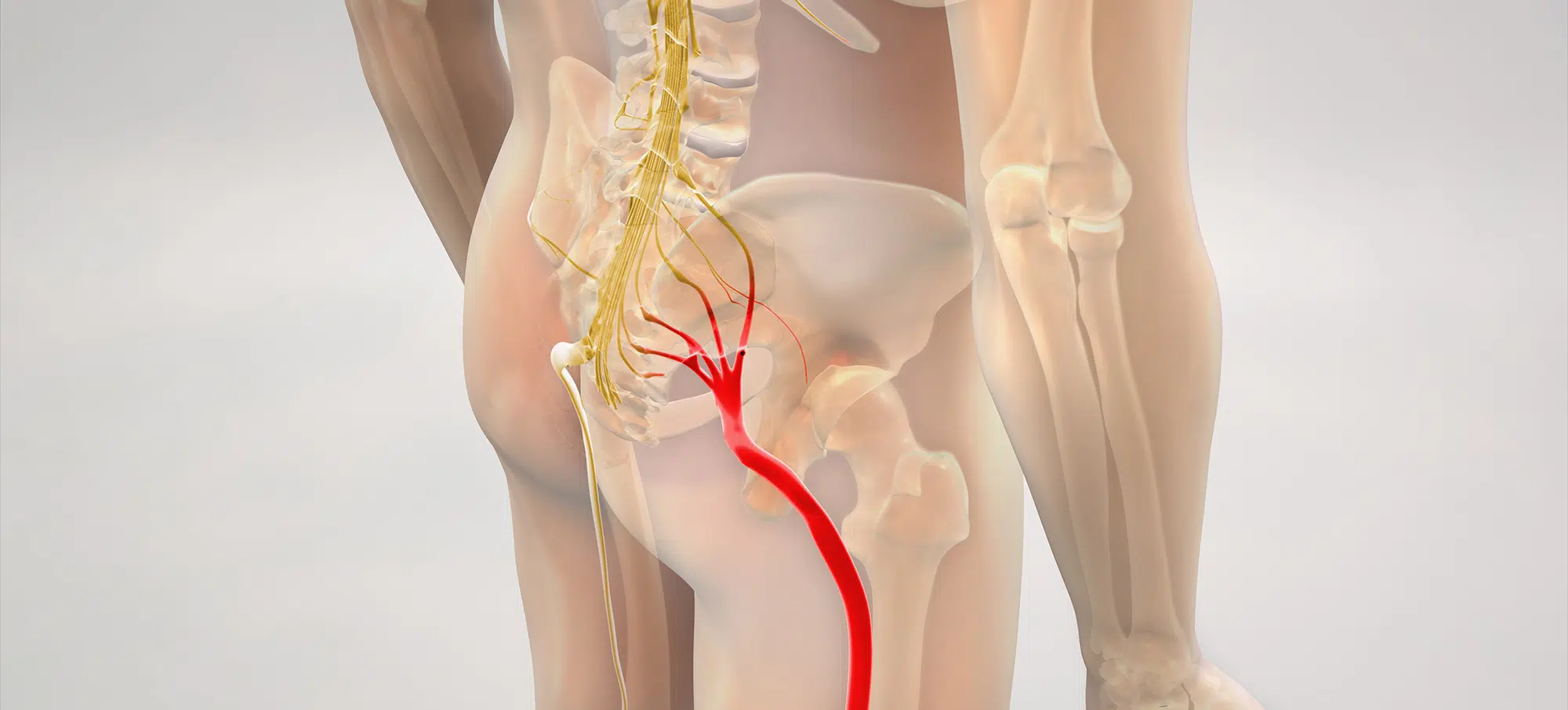 Sciatica & Erectile Dysfunction – Understanding Nerve-Related ED