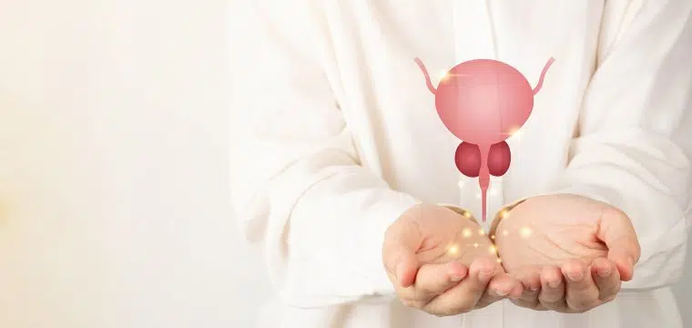 can an enlarged prostate cause erectile dysfunction enlarged prostate and erectile dysfunction enlarged prostate erectile dysfunction connection benign prostatic hyperplasia (BPH) and ED prostate health and sexual function