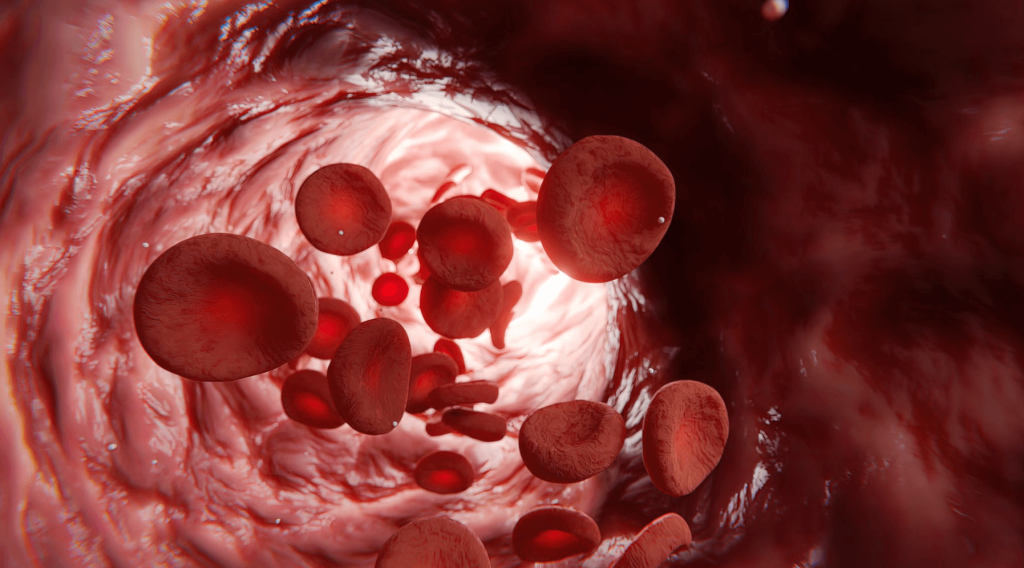 Illustration showing red blood cells flowing through a narrowed blood vessel to represent changes in blood flow linked to erectile dysfunction.