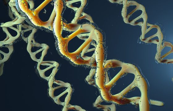 Advances in Men's Sexual Health The Role of Genetics
