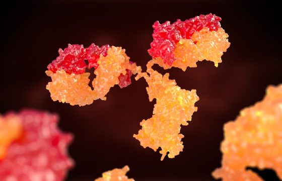 Men's Health & the Autoimmune System
